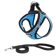 Reflective Mesh Dog Harness & Leash Set