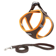 Reflective Mesh Dog Harness & Leash Set