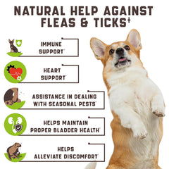 Flea & Tick Chews for Dogs