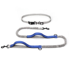 Outdoor Adventure Dog Leash