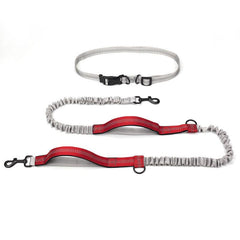 Outdoor Adventure Dog Leash