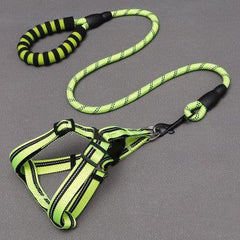 Adjustable Dog Harness & Leash Set