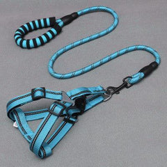 Adjustable Dog Harness & Leash Set
