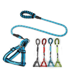 Adjustable Dog Harness & Leash Set