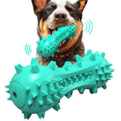Dog Squeaky Toy Set (3 pack)