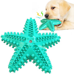 Dog Squeaky Toy Set (3 pack)