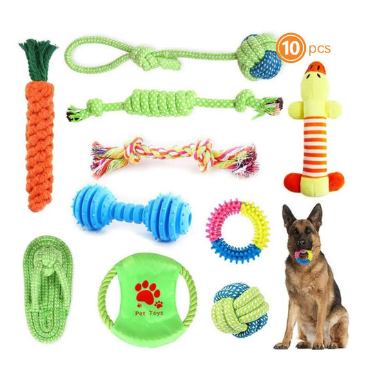 10 pcs molar Dog Toys