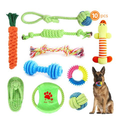 10 pcs molar Dog Toys