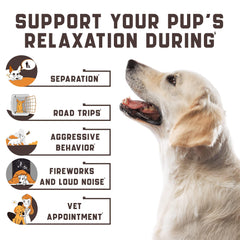 Calming Chews for Labrador Dogs