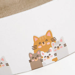 Paw-Some Cat Scratcher Box