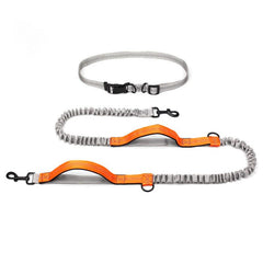Outdoor Adventure Dog Leash