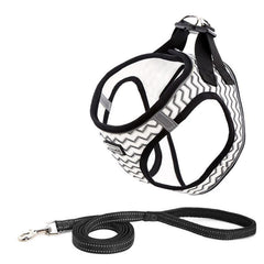 Reflective Mesh Dog Harness & Leash Set
