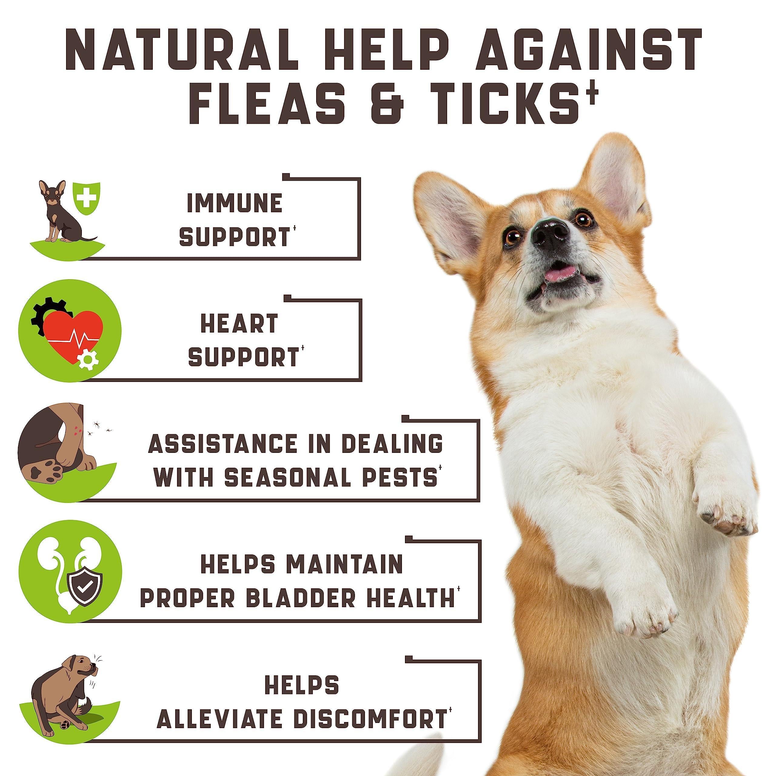 Flea & Tick Chews for Dogs