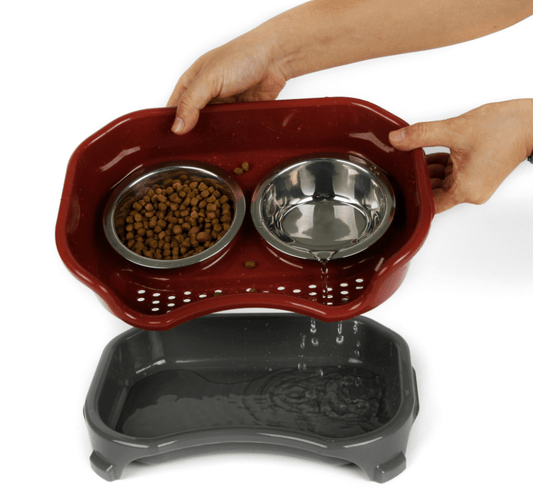 Pet Double Basin Stainless Steel Bowl Set-1