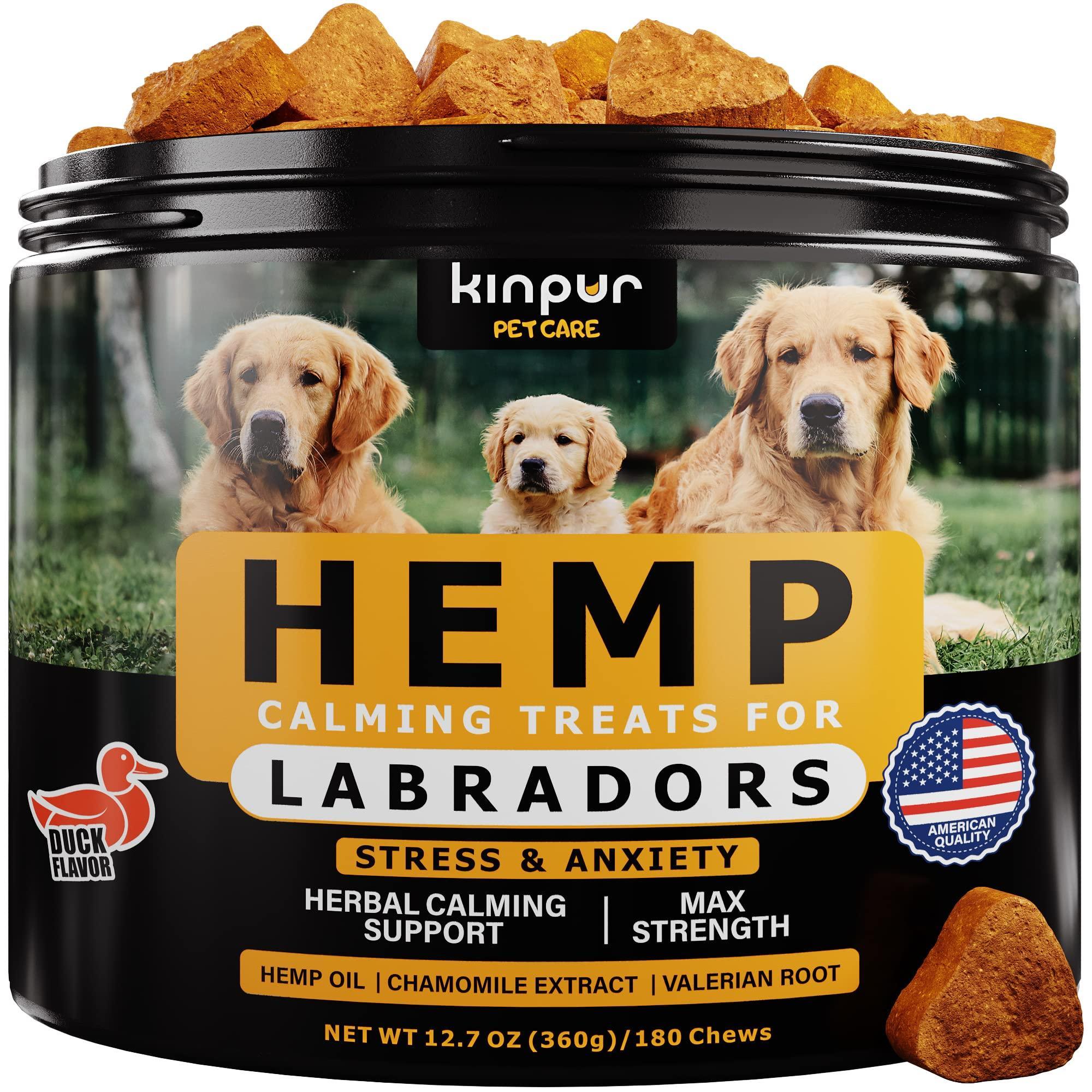 Calming Chews for Labrador Dogs