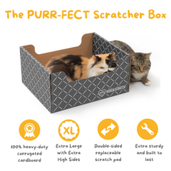 Extra-Large Cat Scratcher Box