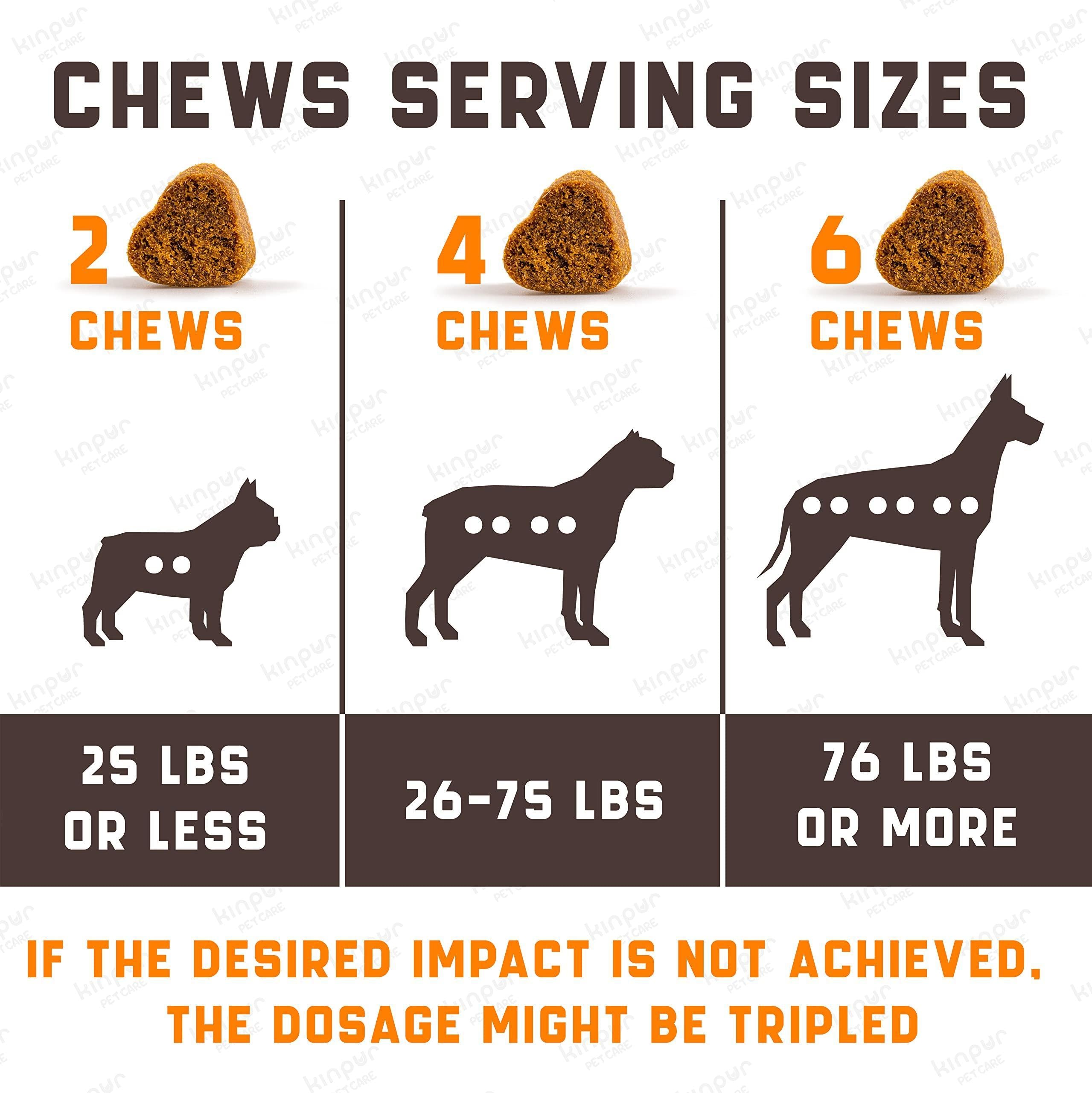 Calming Chews for Labrador Dogs