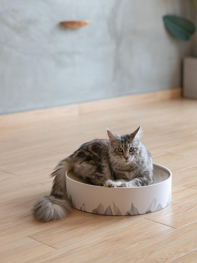 Premium Cat Scratcher