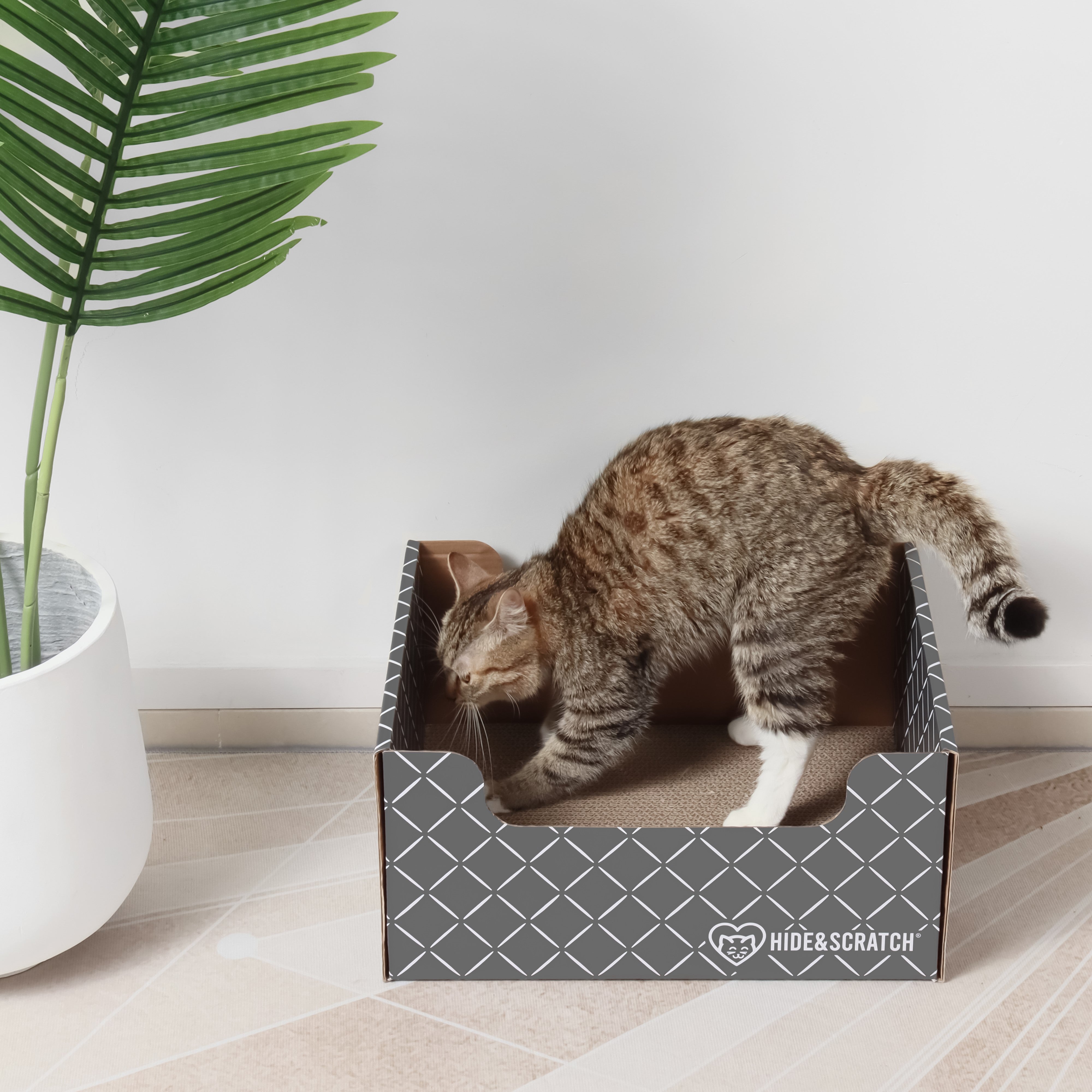 Extra-Large Cat Scratcher Box