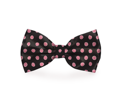 Polka-Dot Dog Bow Tie