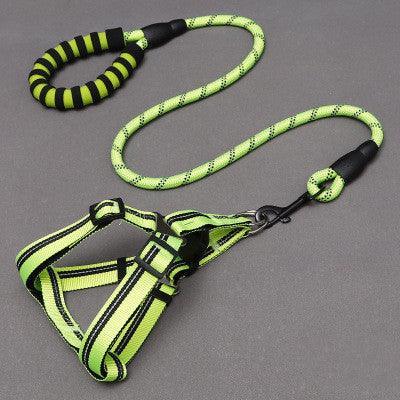 Adjustable Dog Harness & Leash Set