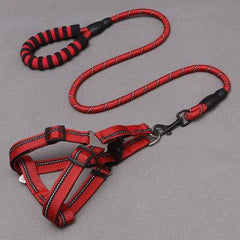 Adjustable Dog Harness & Leash Set