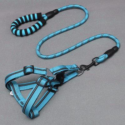 Adjustable Dog Harness & Leash Set