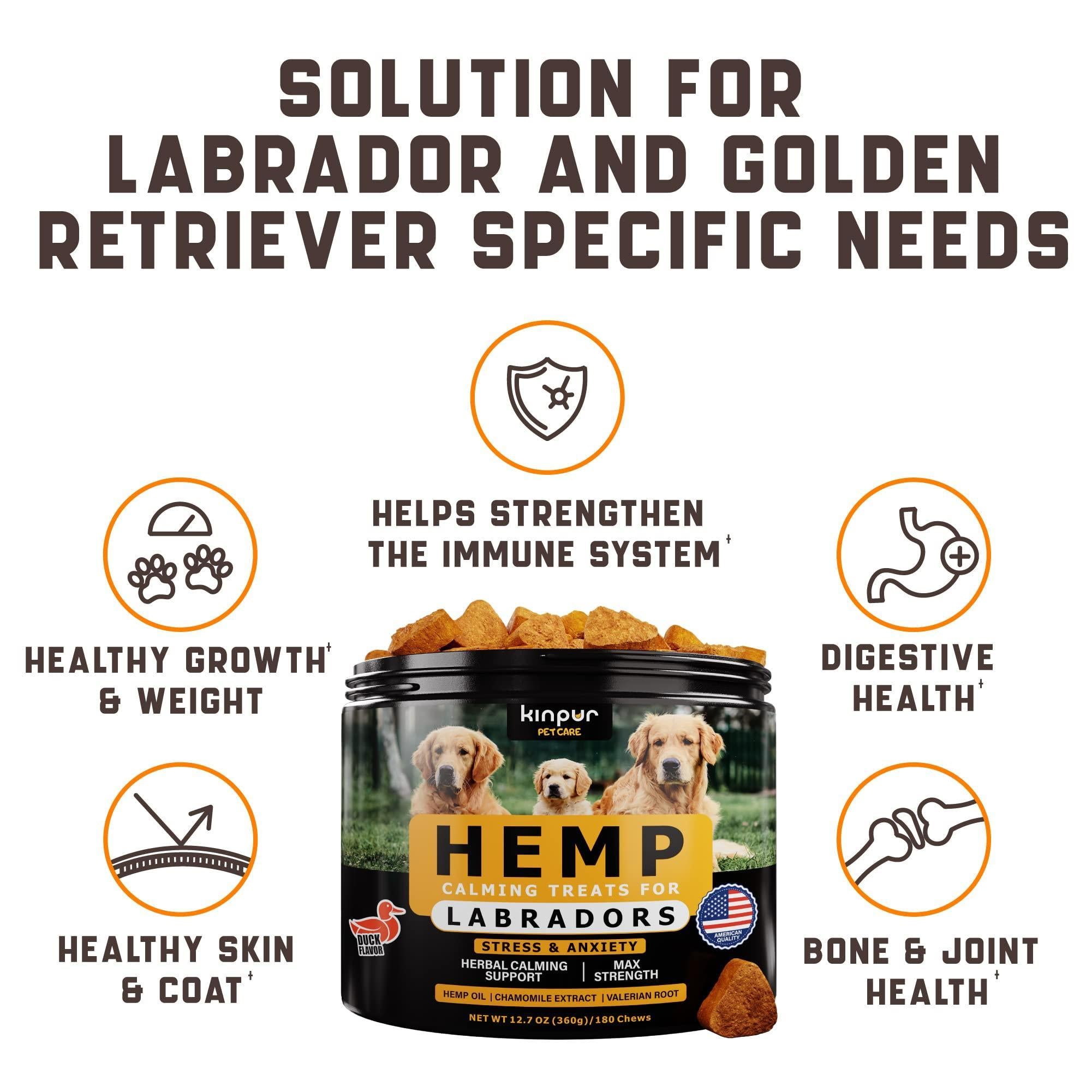 Calming Chews for Labrador Dogs