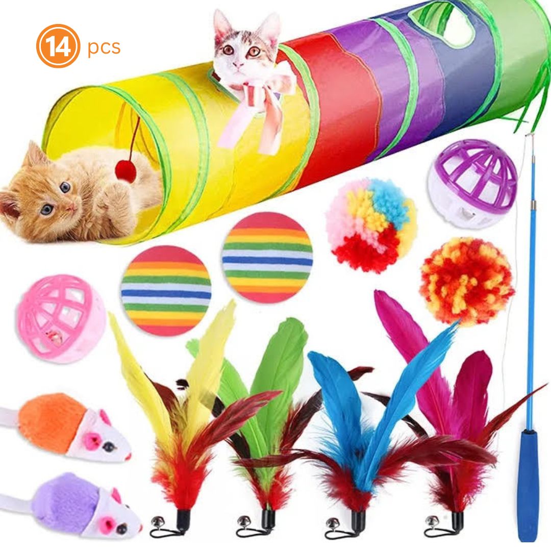 Cat Toy Set (14pcs)